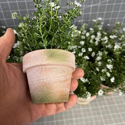 Cute Little Faux Flower in a small pot + Green Décor Ball