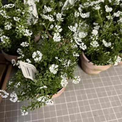Cute Little Faux Flower in a small pot + Green Décor Ball