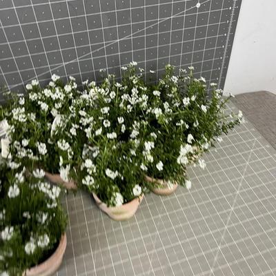Cute Little Faux Flower in a small pot + Green Décor Ball