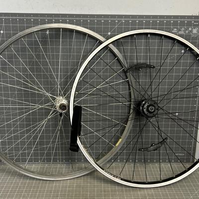 Bike Wheels 
