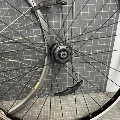 Bike Wheels 