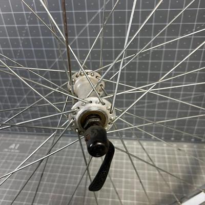 Bike Wheels 