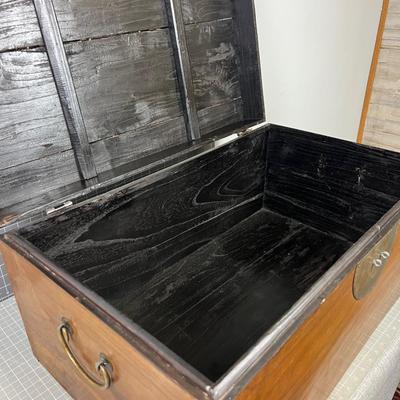 ASIAN Trunk