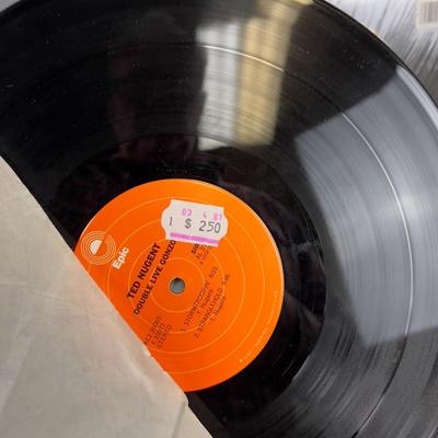 (3) TED NUGENT Albums