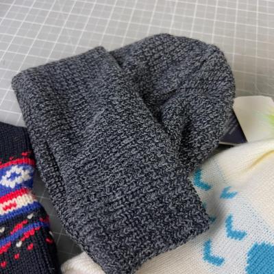 (5) Hats, Winter Snowbird, plus others