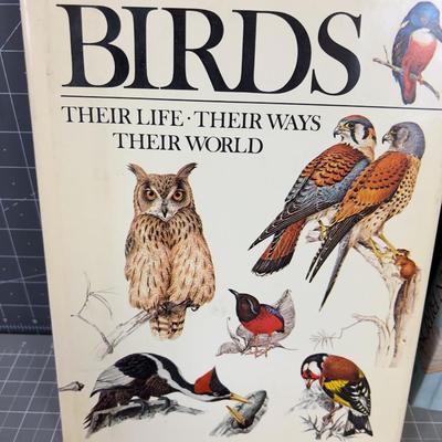 4 Books on BIRDS! 
