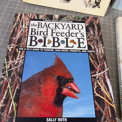 4 Books on BIRDS! 