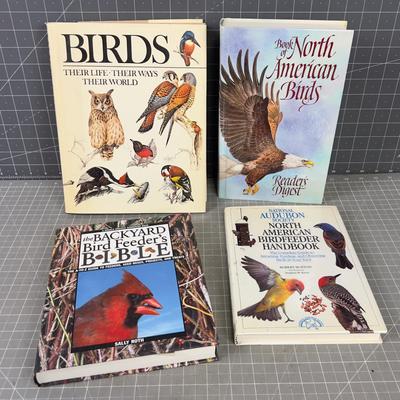 4 Books on BIRDS! 