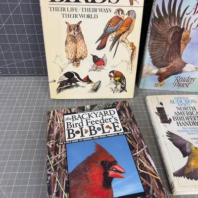 4 Books on BIRDS! 