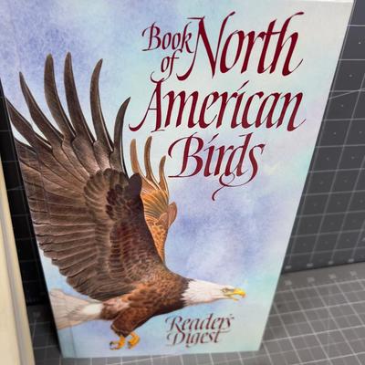 4 Books on BIRDS! 