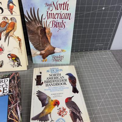 4 Books on BIRDS! 