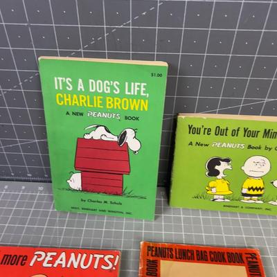 Collection of VINTAGE PEANUTS  Books 