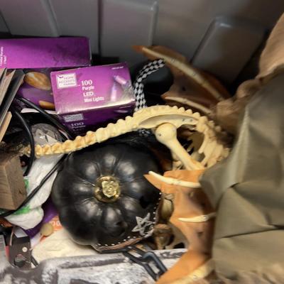 Whoop Whoop! It’s the HALLOWEEN BOX 