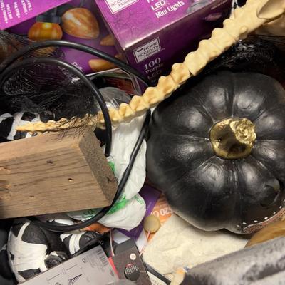 Whoop Whoop! It’s the HALLOWEEN BOX 