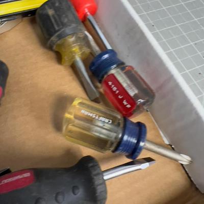 All the SCREWDRIVERS in the World, including CRAFTSMAN