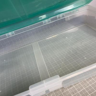 2 Under Bed Storage Tubs 