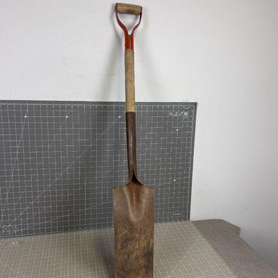 Tree Shovel 