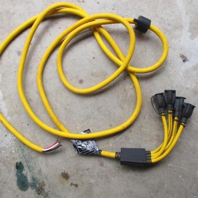 Briggs & Stratton 25ft 30 Amp Generator Adapter Cord Set
