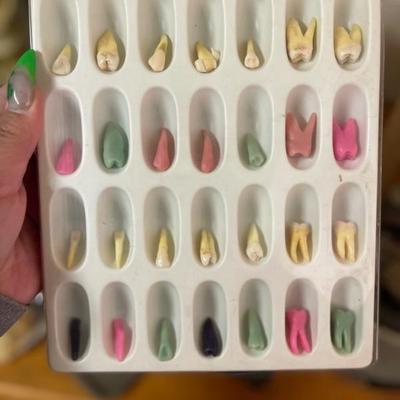 Teeth from schooling 1960’