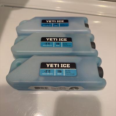 BR1102 Lot of 3 YETI 1lb Ice Paks