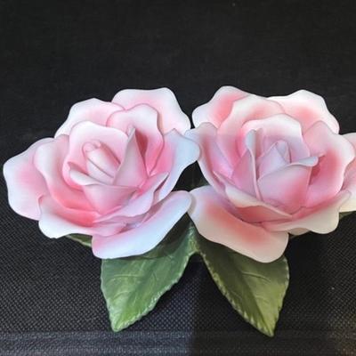 Pink roses by Andrea Sadek