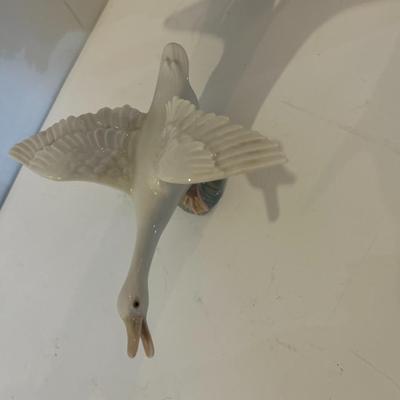 Where Are The Bird Lovers?