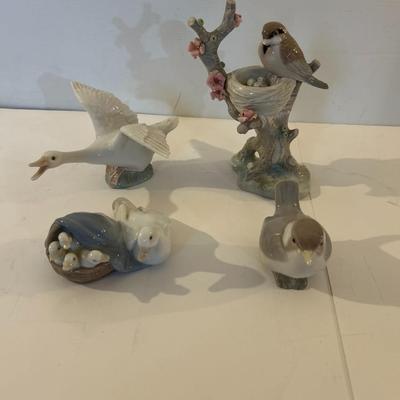 Where Are The Bird Lovers?