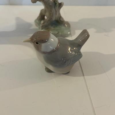 Where Are The Bird Lovers?