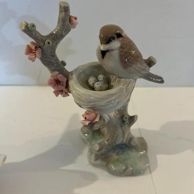Where Are The Bird Lovers?