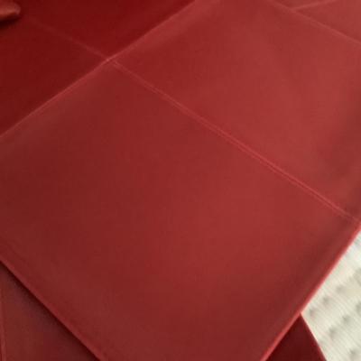 M756 Set of Four Red Vinyl Pillows and Placemats