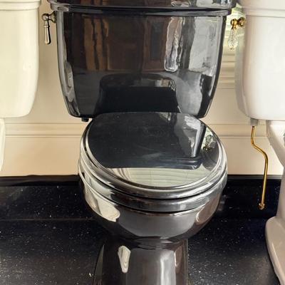 623 Black Porcelain Toto Toilet