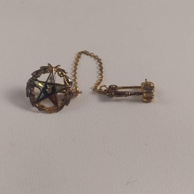 Order of the Eastern Star Pin- 10 Karat Yellow Gold and Enamel (#39)