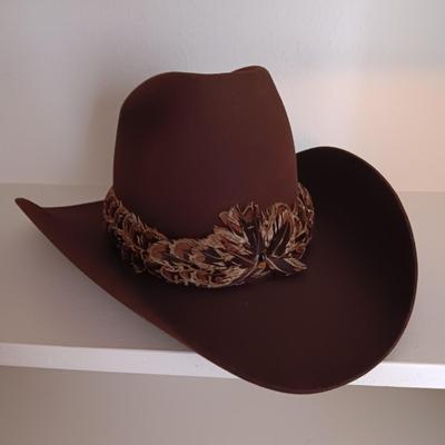 STETSON 4X BEAVER HAT WITH FEATHER BAND SIZE 6 7/8