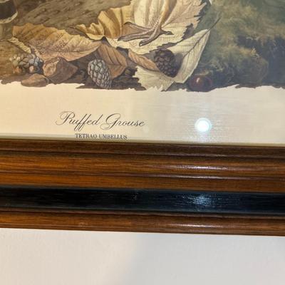 Waterfowl Prints