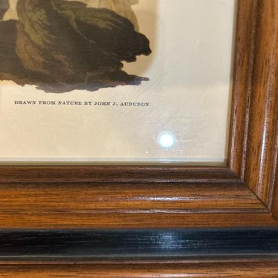 Waterfowl Prints
