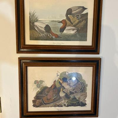 Waterfowl Prints