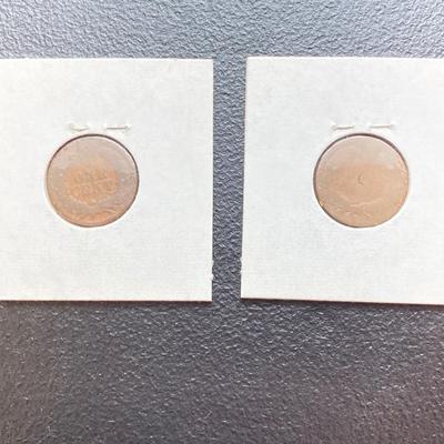LOT 119: U.S. Coins - Flying Eagle and Indian Head Penny Collection dated 1857 to 1883