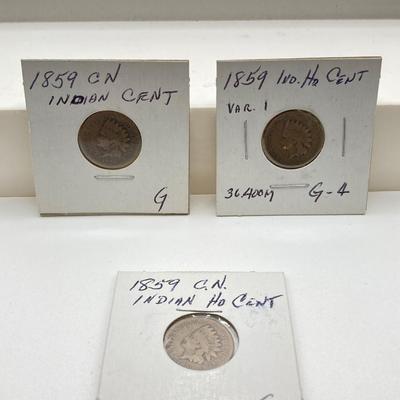 LOT 119: U.S. Coins - Flying Eagle and Indian Head Penny Collection dated 1857 to 1883