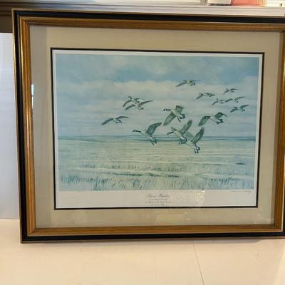 Ducks Unlimited Print
