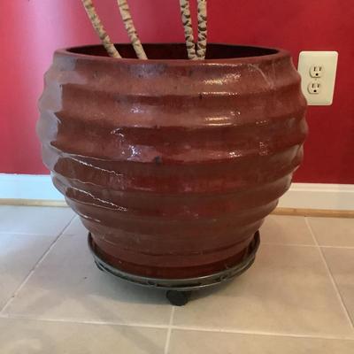 K776 Dracena Plant in Red Glazed Pot