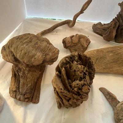 Driftwood