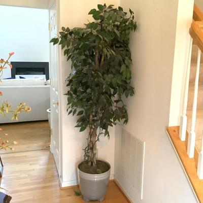 H777 Artificial Fig Tree