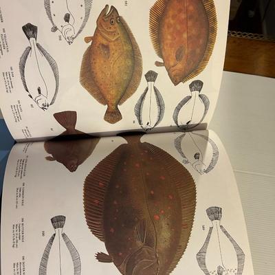 Fishing Books