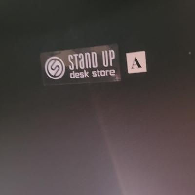 Standing Work Desk (G-EL)