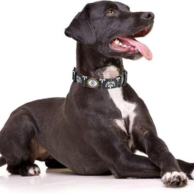 Size Medium Black Sacred Eye Mandala Art Printed Adjustable Quick Release Nylon Dog Collar w/Durable D-Ring