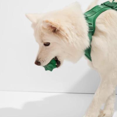 Wild One Twist Toss Dog Toy 100% Natural Rubber, Fun to Chew, Durable for Average Chewers, Fetch Toy, Treat Dispensing Spruce Green