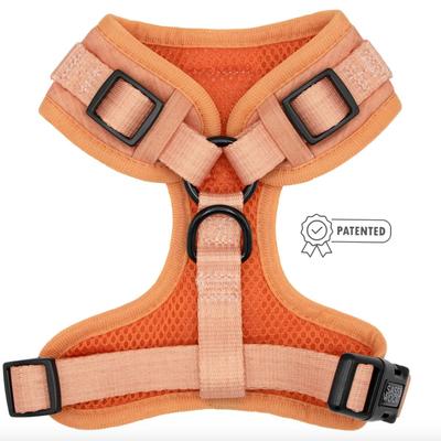 Size Large Sassy Woof Adjustable Neoprene Dog Harness Vest w/No Pull D-Ring in Apple Cider Orange & Rose Gold Hardware