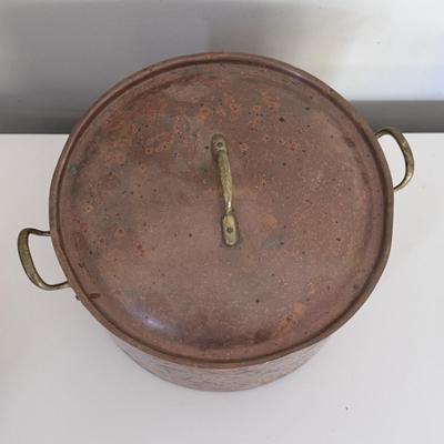 Copper Cooking Pot and Aluminum Fish Poacher (G-DZ)