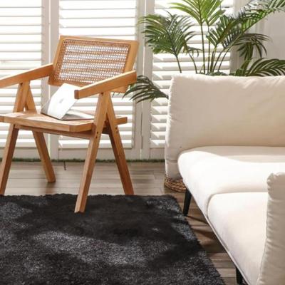 Black Ultra Fluffy Waterproof Area Rug, 5' x 8' Area Rug for Bedroom & Living Room Area Rug, Non Slip Faux Fur Rug