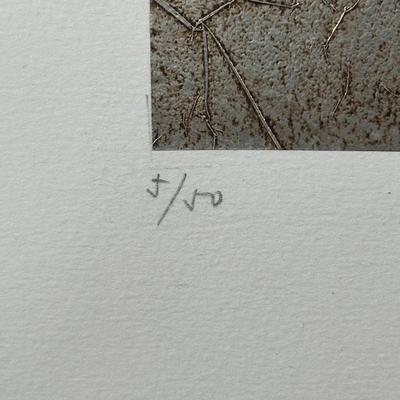 LOT 38X: Signed & Numbered 5/50 Pine Needle Relief Print
